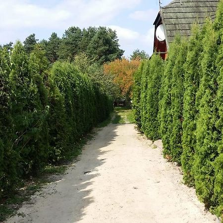 Wyspa Kampinos Brochów Kültér fotó