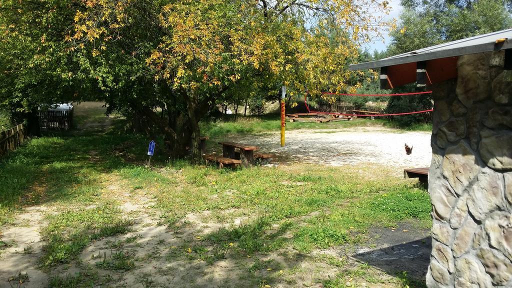 Wyspa Kampinos Brochów Kültér fotó
