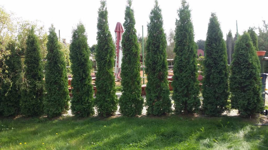 Wyspa Kampinos Brochów Kültér fotó