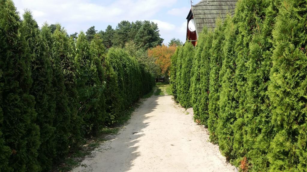Wyspa Kampinos Brochów Kültér fotó
