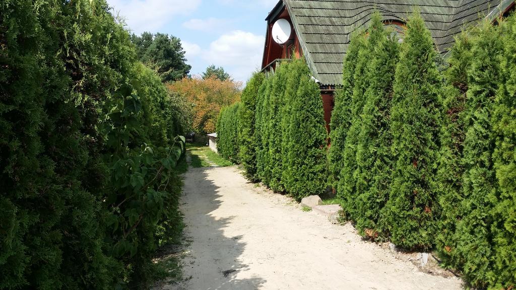 Wyspa Kampinos Brochów Kültér fotó